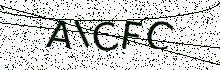 L’image captcha